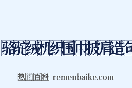 骆驼绒机织围巾披肩造句是什么意思的图片